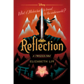 Reflection: A Twisted Tale