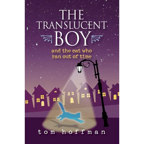 The Translucent Boy and the Cat Who Ran Out of Time - Paperback