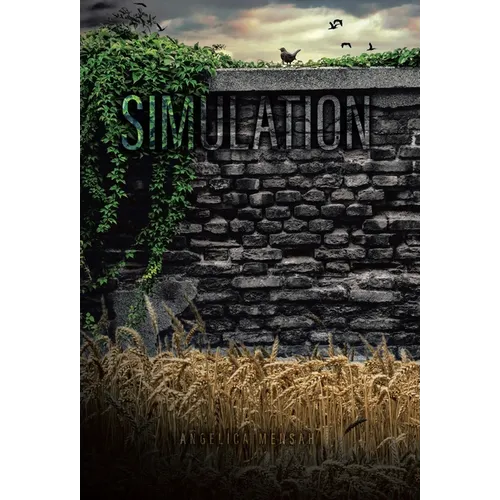 Simulation