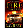 Fire From the Sky: Friendly Fire