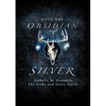 Obsidian and Silver
