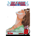 Bleach, Vol. 60: Everything But the Rain