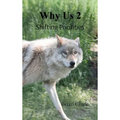 Why Us 2: Shifting Priorities