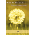 Road to Via Dolorosa