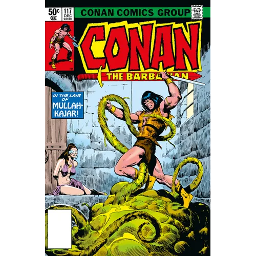 Conan the Barbarian: The Original Comics Omnibus Vol.5