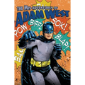 Mis-adventures of Adam West: Volume 3