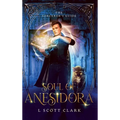 Soul of Anesidora: The Sorcerer's Guide