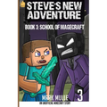 Steve's New Adventure Book 3: School of Magecraft