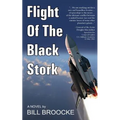 Flight of the Black Stork