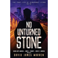 No Unturned Stone: A Time Travel Thriller