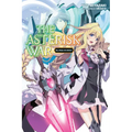 The Asterisk War, Vol. 14 (Light Novel): Struggle for Supremacy Volume 14