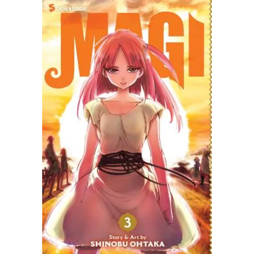 Magi: The Labyrinth of Magic, Vol. 3: The Labyrinth of Magic