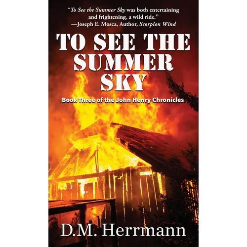 To See the Summer Sky: Book Three of the John Henry Chronicles