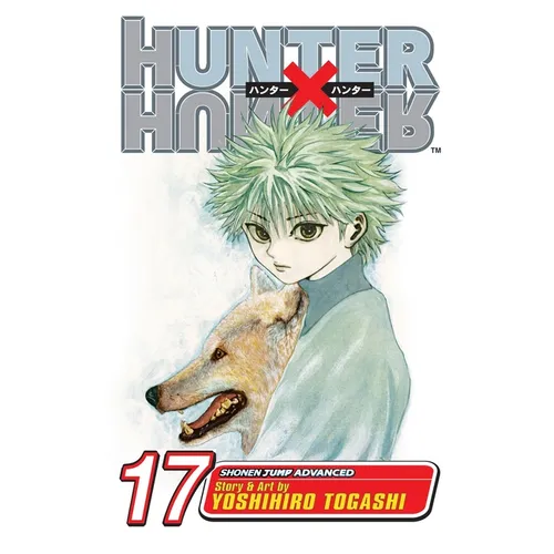 Hunter X Hunter, Vol. 17: A Fierce Three-Way Struggle