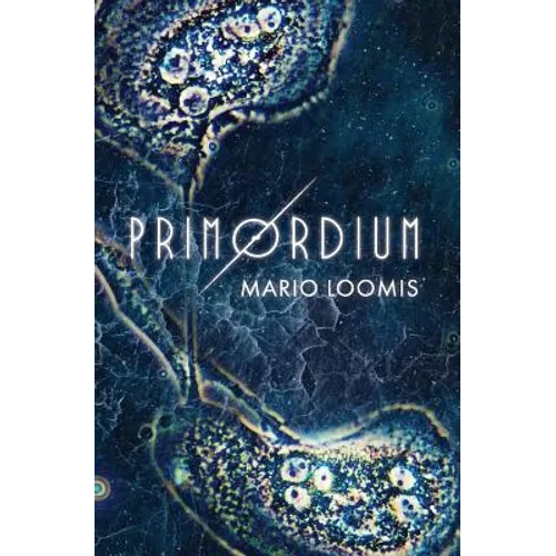 Primordium