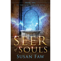 Seer of Souls: (The Spirit Shield Saga Book One)