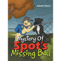 Mystery Of Spot's Missing Ball