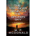 The Stranger Beneath the Broken Sky