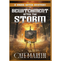 Bewitchment After the Storm: A Viking Witch Mystery