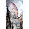 The Harper Hall Trilogy: Dragonsong; Dragonsinger; Dragondrums