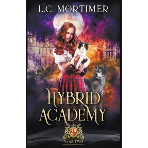 Hybrid Academy: Year Two