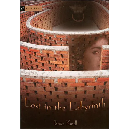 Lost in the Labyrinth