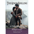The King's Shilling: A Celtic Romantasy
