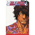 Bleach, Vol. 5: Right Arm of the Giant