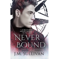 Neverbound: The Neverland Transmissions, Book 3