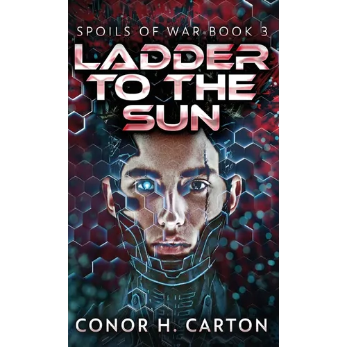 Ladder To The Sun