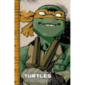 Teenage Mutant Ninja Turtles: The IDW Collection Volume 7