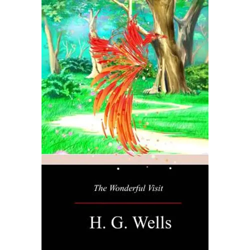 The Wonderful Visit