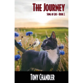 The Journey (Song of LIfe - Book 2)