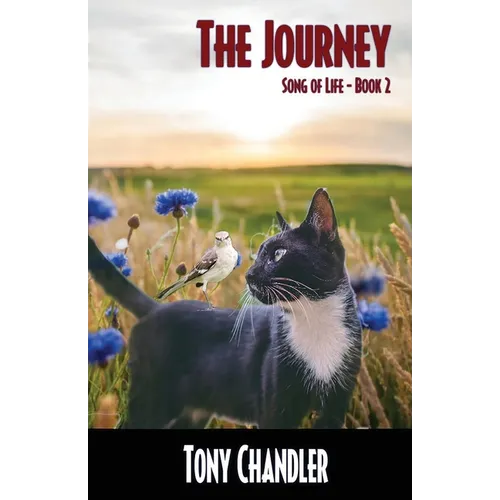 The Journey (Song of LIfe - Book 2)