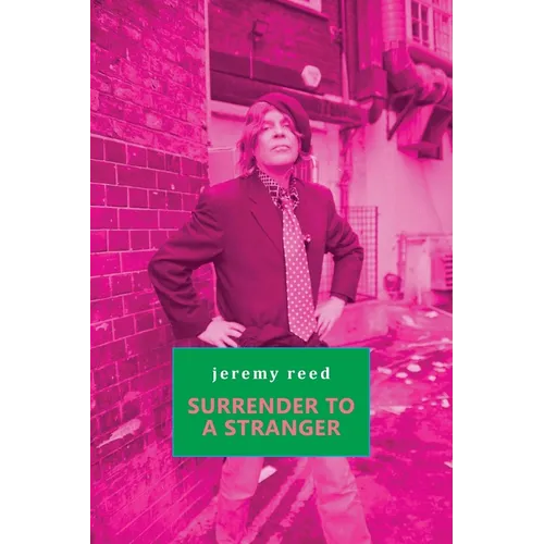 Surrender to a Stranger - Paperback