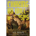 Choking on Will-O'-Wisps