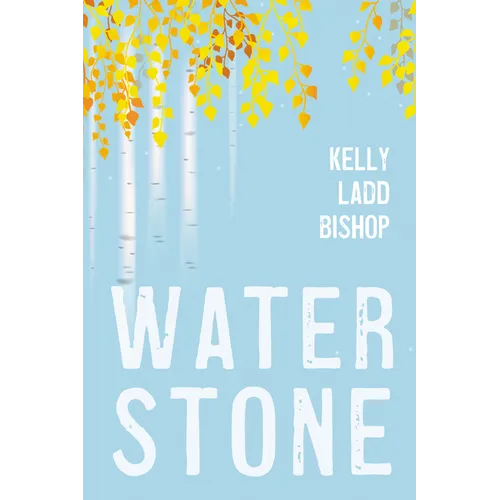 Water Stone