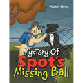 Mystery Of Spot's Missing Ball