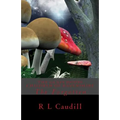 The Glass House Children of Ravenshire: The Forgotten