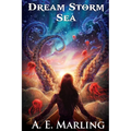 Dream Storm Sea