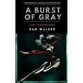 A Burst of Gray: A Novel in 100-Word Stories