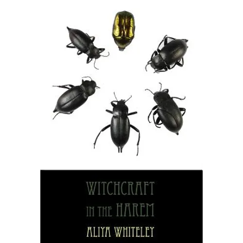 Witchcraft in the Harem