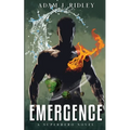 Emergence