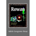 Rowan: An Artisan-Sorcerer Story
