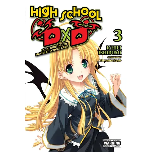 High School DXD, Vol. 3 (Light Novel): Excalibur of the Moonlit Schoolyard Volume 3