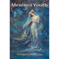 Merlin's Youth: An Arthurian Poem of Merlin, Youth, and Lost Love