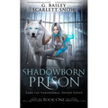 Shadowborn Prison