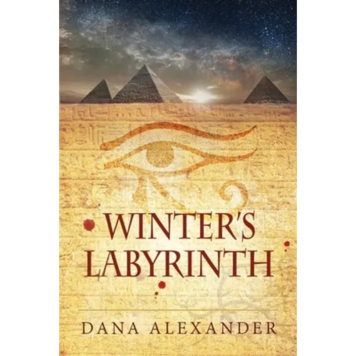 Winter's Labyrinth