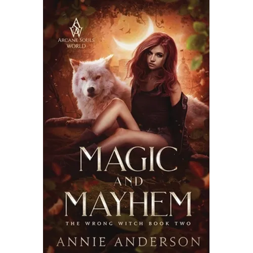 Magic and Mayhem: Arcane Souls World