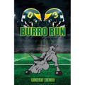 Burro Run